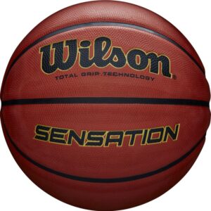 PELOTAS DE BASQUET